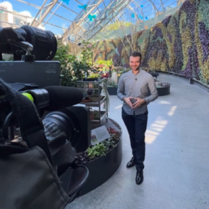 How to use your tone of voice effectively